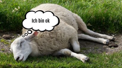 Innere Helfer, inneres Team, Achtsamkeit, Stressbewältigung, Selfleadership, Selbstführung